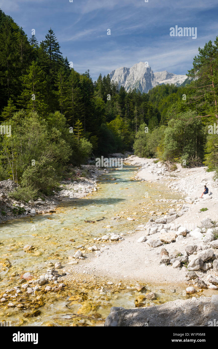 Vista della valle di Vrata con il fiume Bistrica, Mojstrana, Kranjska Gora, Gorenjska, Alta Carniola, il Parco Nazionale del Triglav, sulle Alpi Giulie, Slovenia Foto Stock