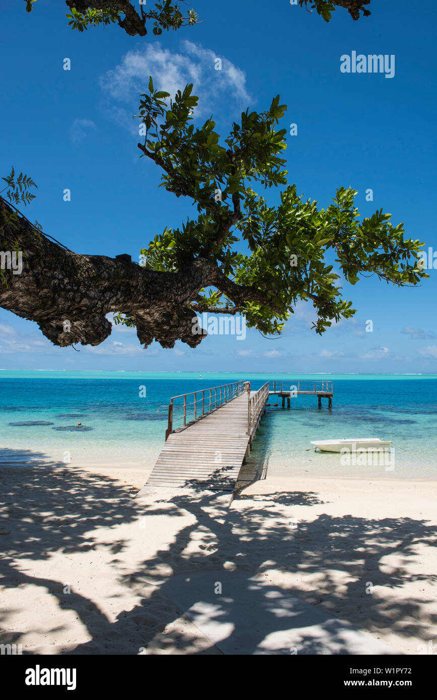 Vista da sotto un grande albero di un ramo di massiccia, la sua ombra sulla sabbia e un molo e piccolo canotto in acqua turchese, Huahine, Isole della Società, F Foto Stock