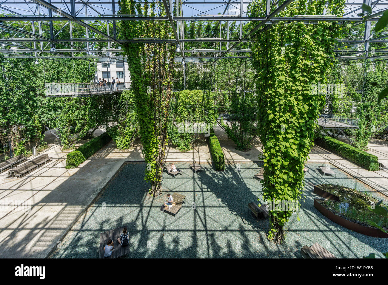 MFO Park, Parco Pubblico Di Ex Maschinenfabrik Oerlikon  MFO  , Piante Rampicanti, Telaio In Acciaio Zurigo Svizzera Jkwtfr