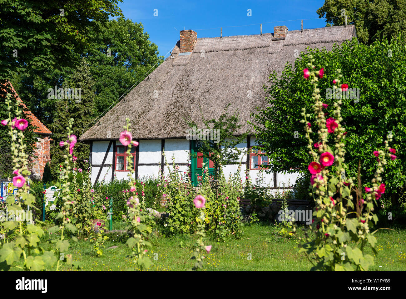 ' Casa di paglia, museo della scuola, Middelhagen, Rügen Isola, Meclemburgo-Pomerania; Mar Baltico, Germania, Europa" Foto Stock