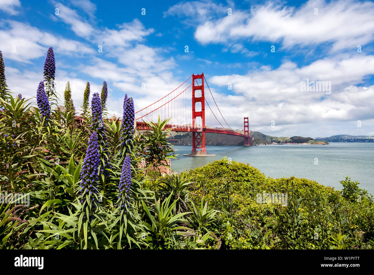 Golden Gate Bridge di San Francisco, California, Stati Uniti d'America Foto Stock