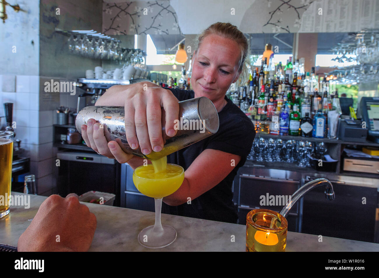 Mix di donna bere nel pub Urban Deli AB in SOFO, Stoccolma, Svezia Foto Stock
