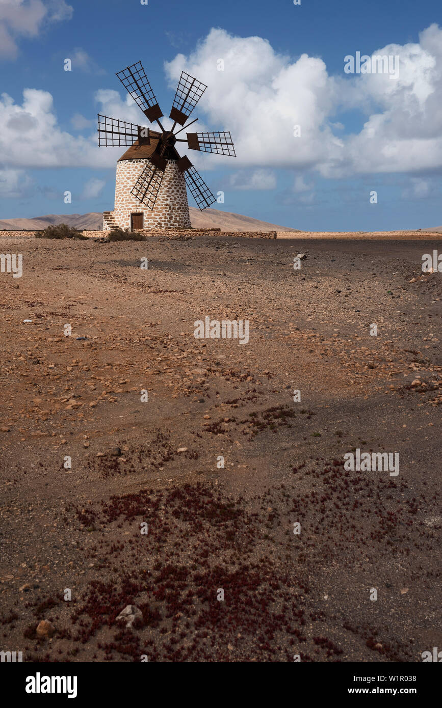 Il mulino a vento, Tefia, Puerto del Rosario, Fuerteventura, Spagna, Europa Foto Stock