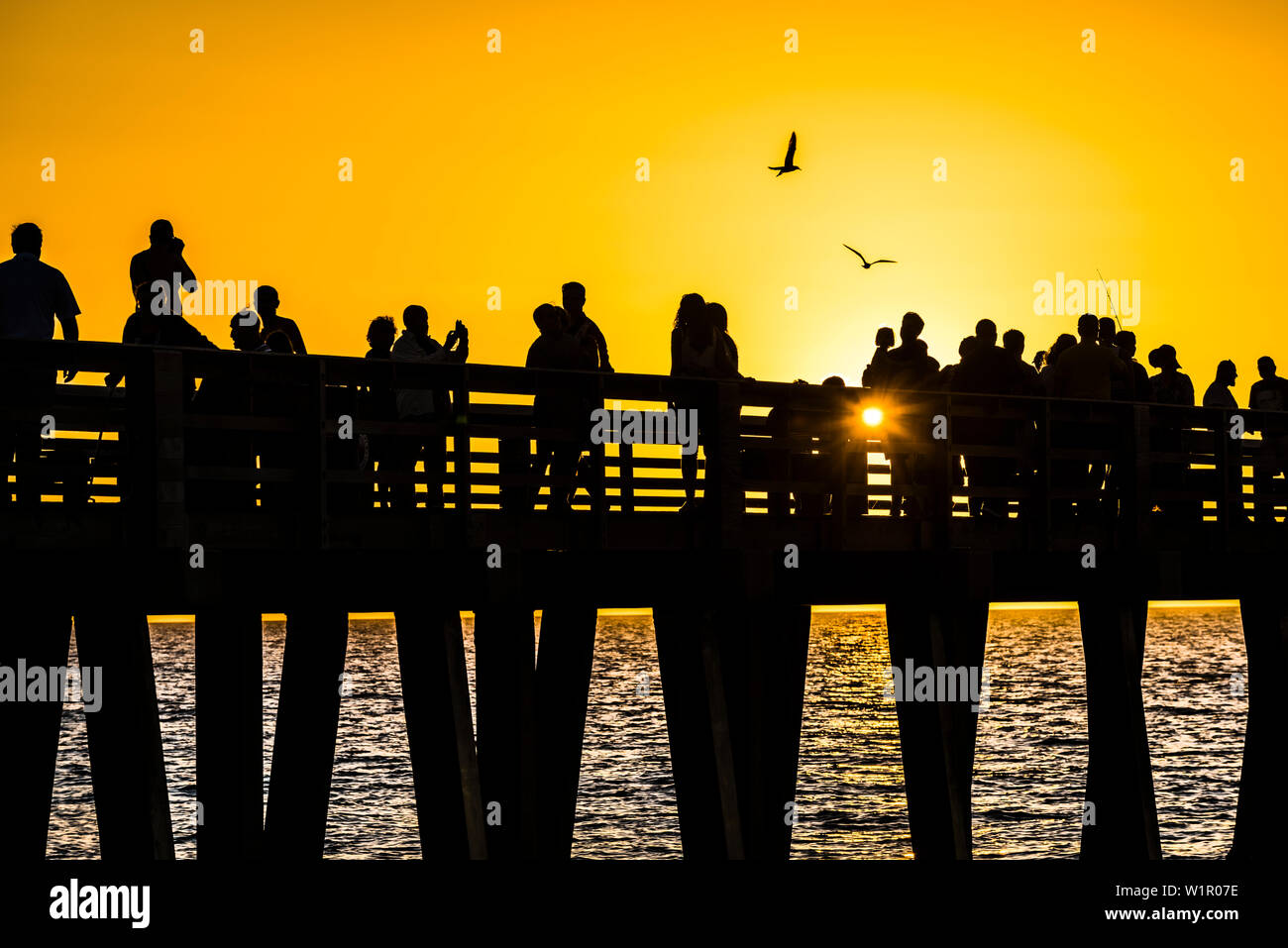 Silhouette di gente sul pubblico popolare Napoli molo al tramonto nel Golfo del Messico, Naples, Florida, Stati Uniti d'America Foto Stock
