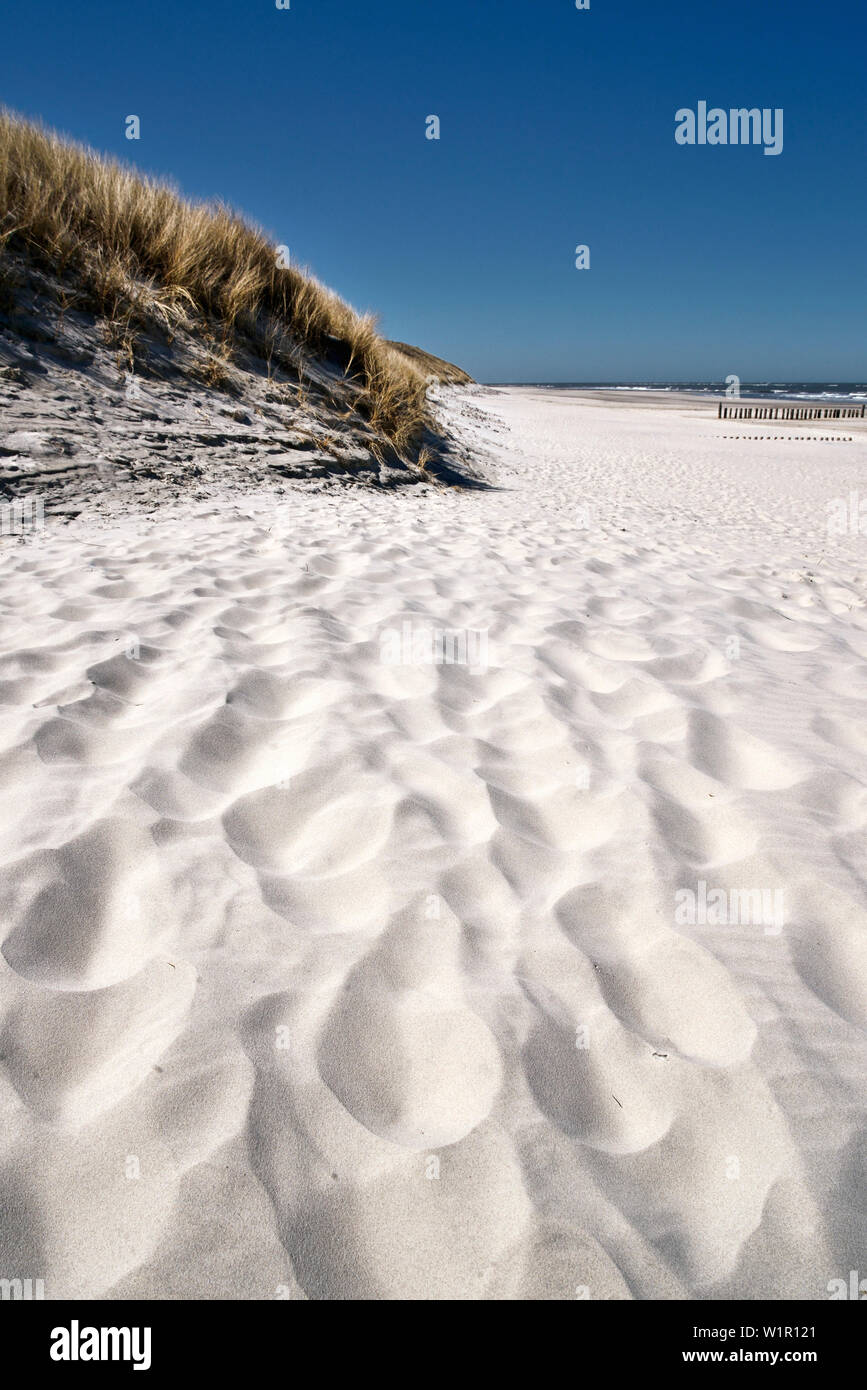 Spiaggia, dune di sabbia, Wangerooge, Est Isole Frisone, Friesland - Distretto, Bassa Sassonia, Germania, Europa Foto Stock