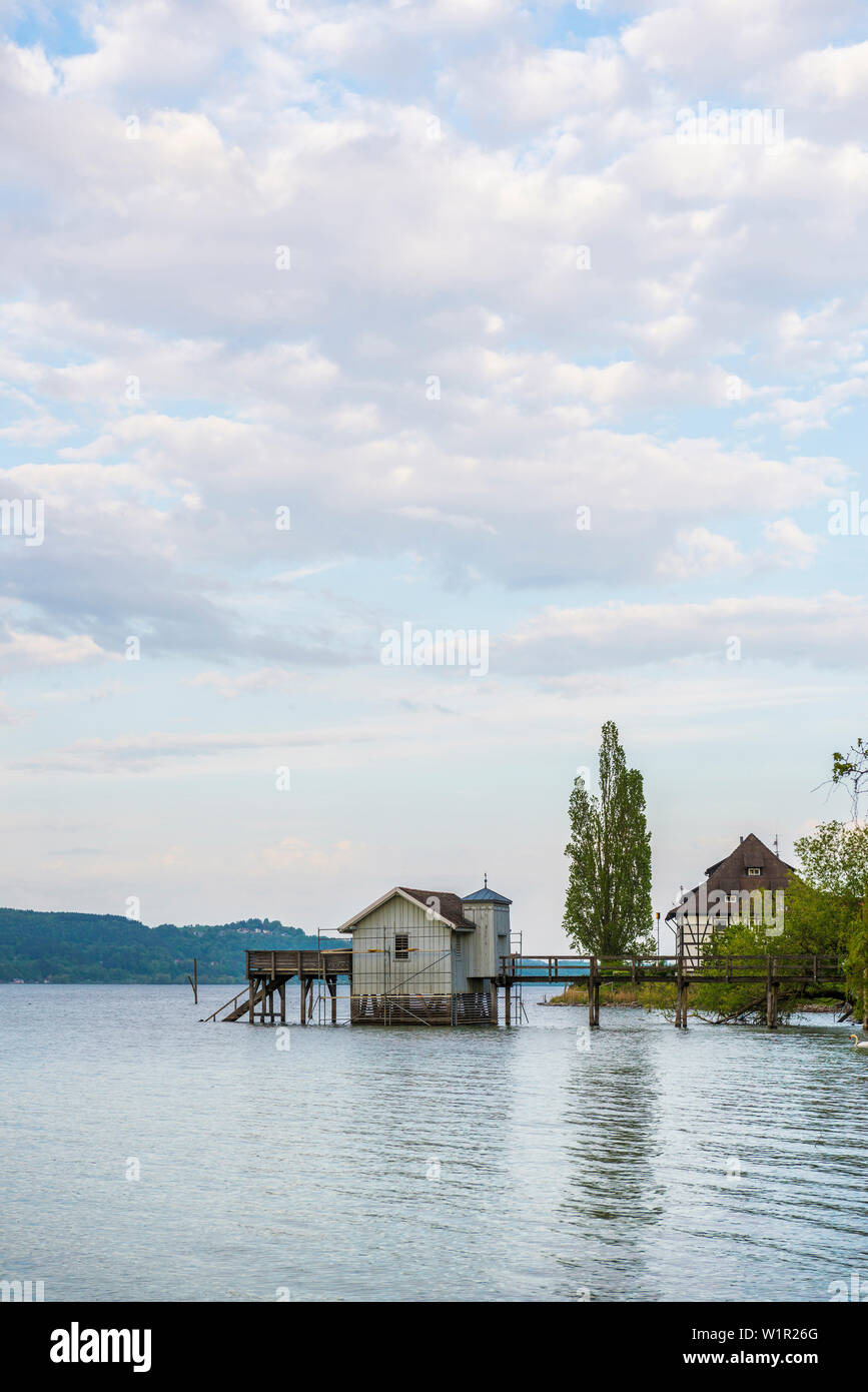 Bodman, Lago di Costanza, Landkreis Konstanz, Baden-Württemberg, Germania Foto Stock