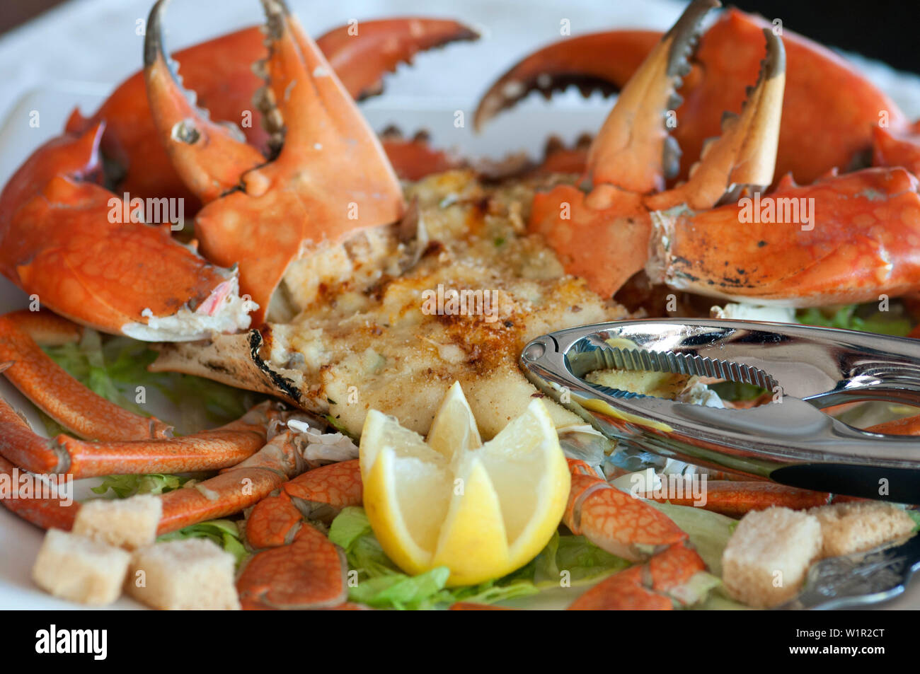 Cuocere il granchio del fango è una prelibatezza in Australia settentrionale Foto Stock