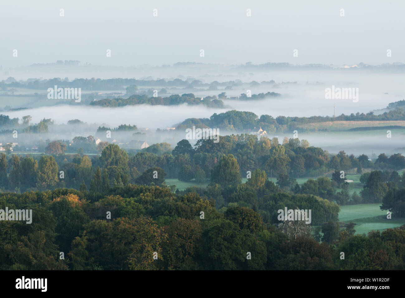 Nebbia di mattina accoccolato tra alberi attraverso un North Somerset paesaggio Foto Stock