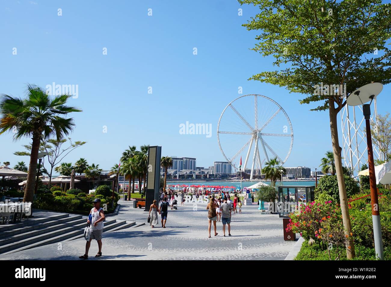 Ain Dubai, ruota panoramica Ferris, 260 metri di altezza, l'apertura 2019, Spiaggia, Dubai Marina, Dubai, Emirati Arabi Uniti, Emirati Arabi Uniti Foto Stock