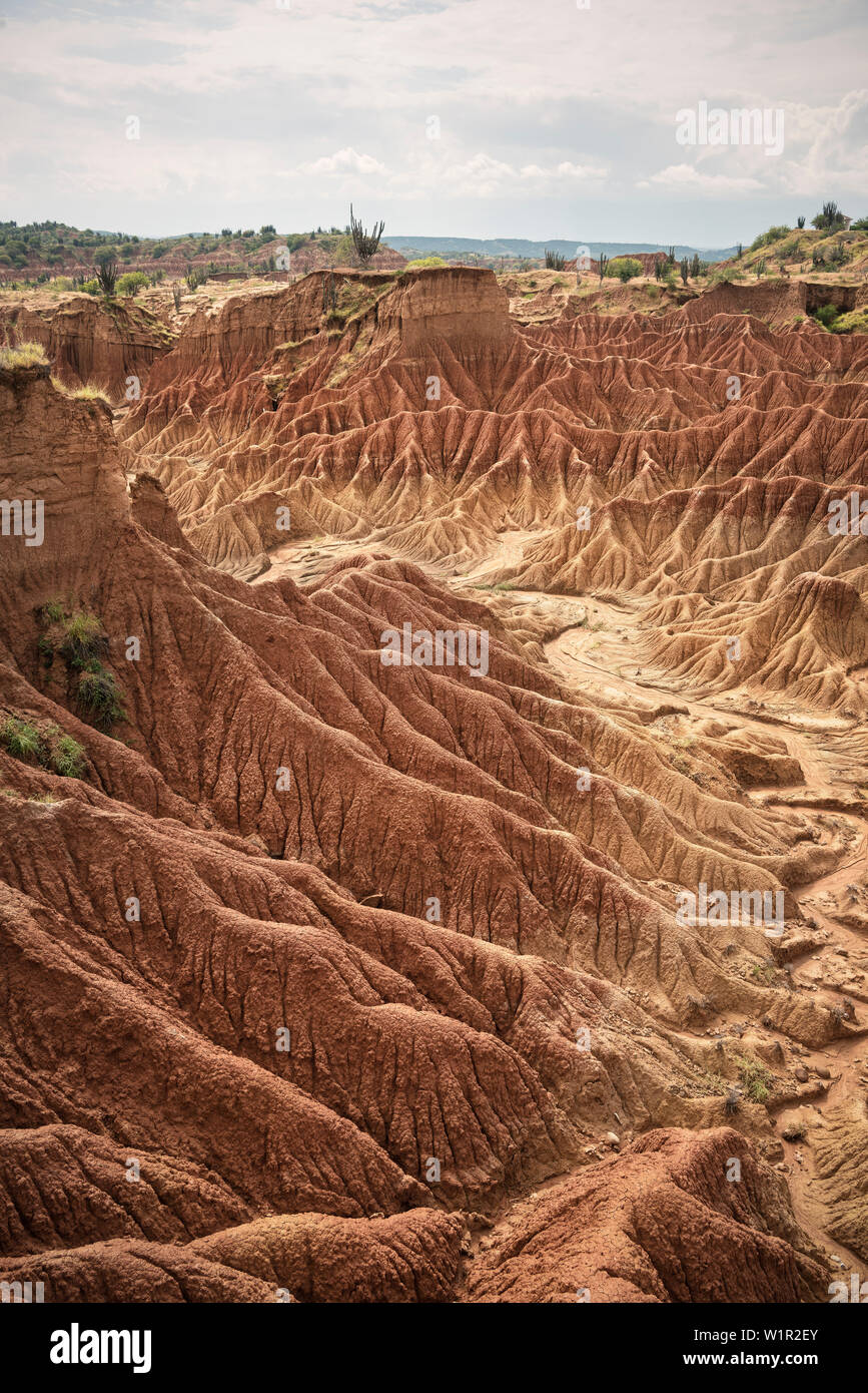 Paesaggio surreale a Tatacoa desert (Desierto de la Tatacoa), township Villavieja vicino a Neiva, Departmento Huila, Colombia, Southamerica Foto Stock