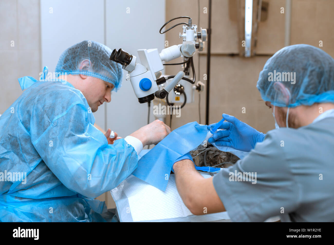 Un professionista oculista esegue chirurgia oculare con un microscopio. L'anestesista controlla l'anestesia e la condizione del cane assortiti Foto Stock