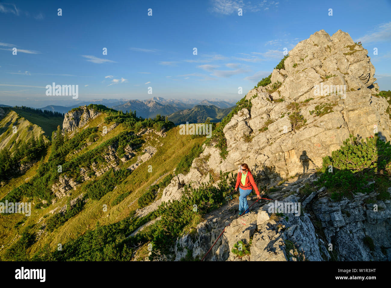 Donna mentre escursionismo sale a Aiplspitze, Aiplspitze Mangfall, montagne, Alpi Bavaresi, Alta Baviera, Baviera, Germania Foto Stock