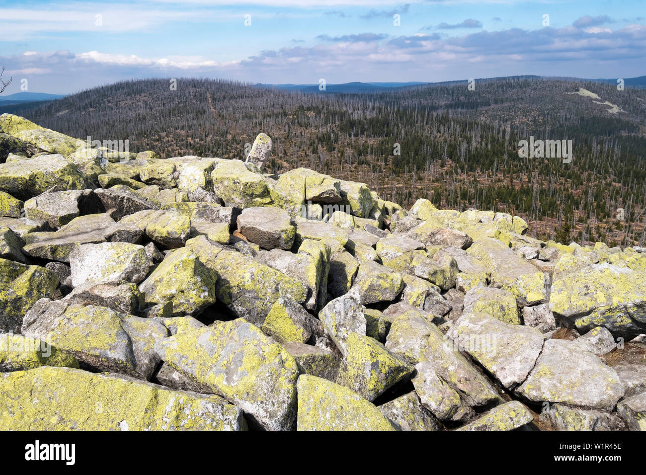 I blocchi di granito sul vertice Lusen, Parco Nazionale della Foresta Bavarese, Baviera, Germania, Europa Foto Stock