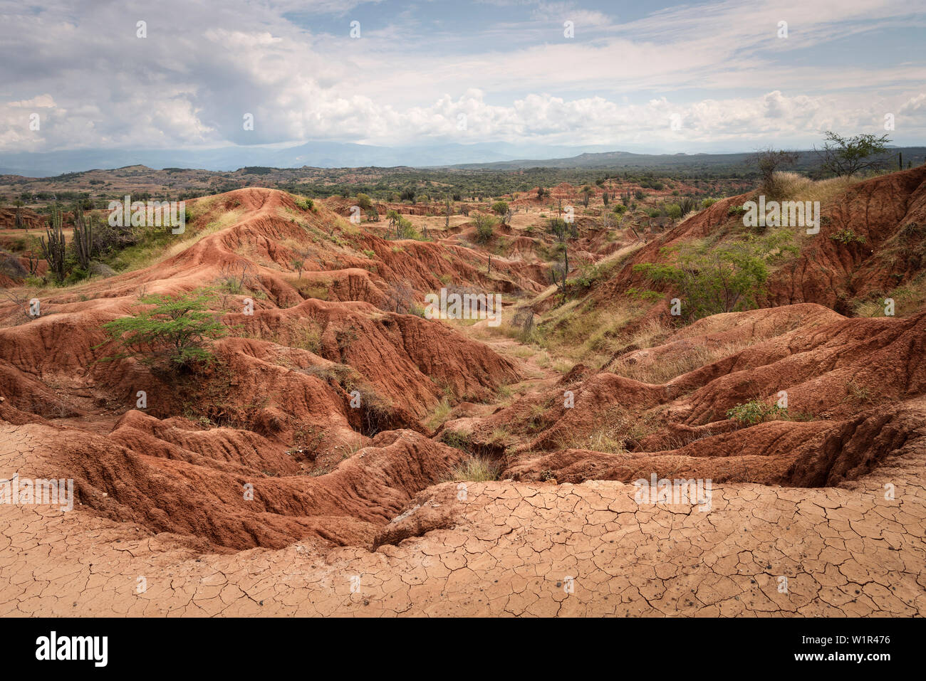 Paesaggio surreale a Tatacoa desert (Desierto de la Tatacoa), township Villavieja vicino a Neiva, Departmento Huila, Colombia, Southamerica Foto Stock