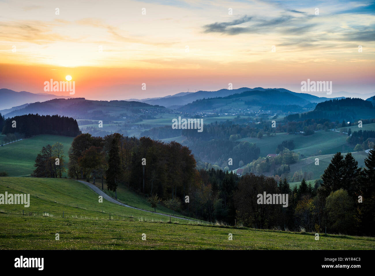 Vista del paesaggio collinare, luce della sera, vicino a St Märgen, Foresta Nera, Baden-Württemberg, Germania Foto Stock