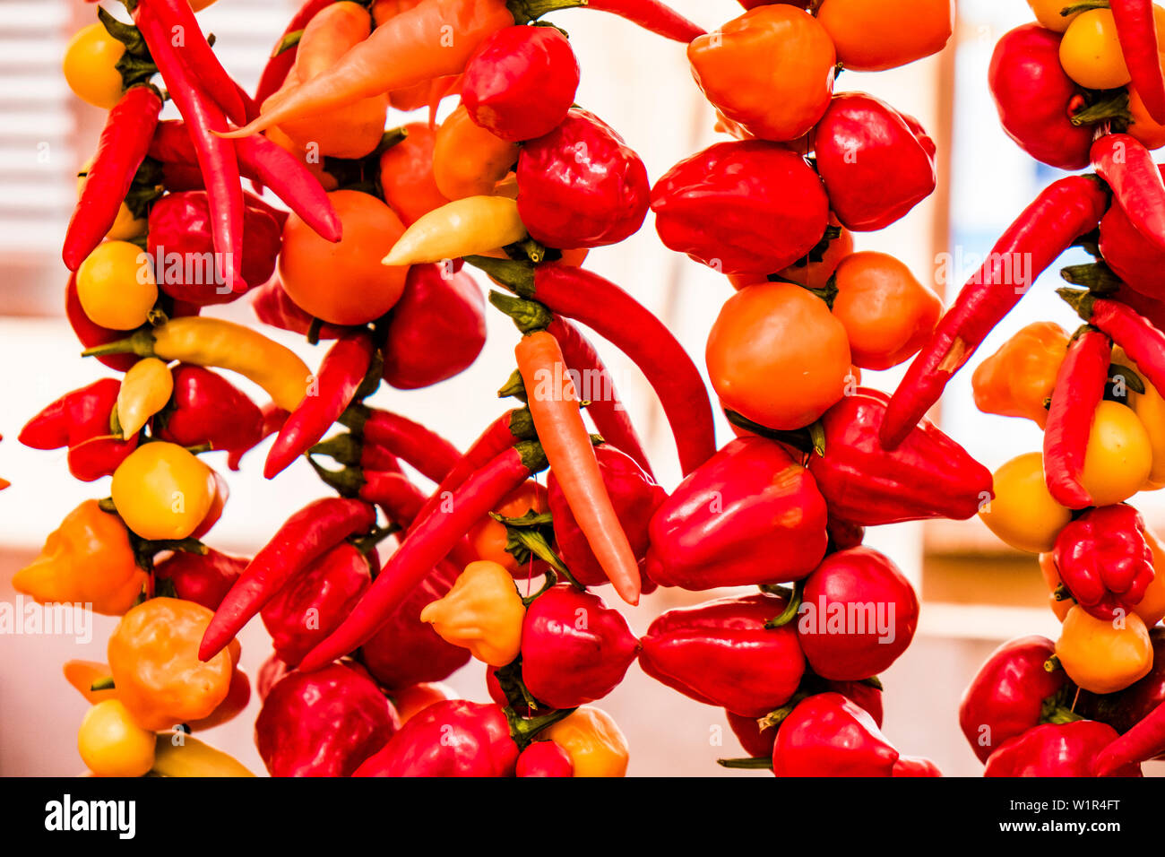 Mercato in Santanyi, Maiorca, isole Baleari, Spagna Foto Stock