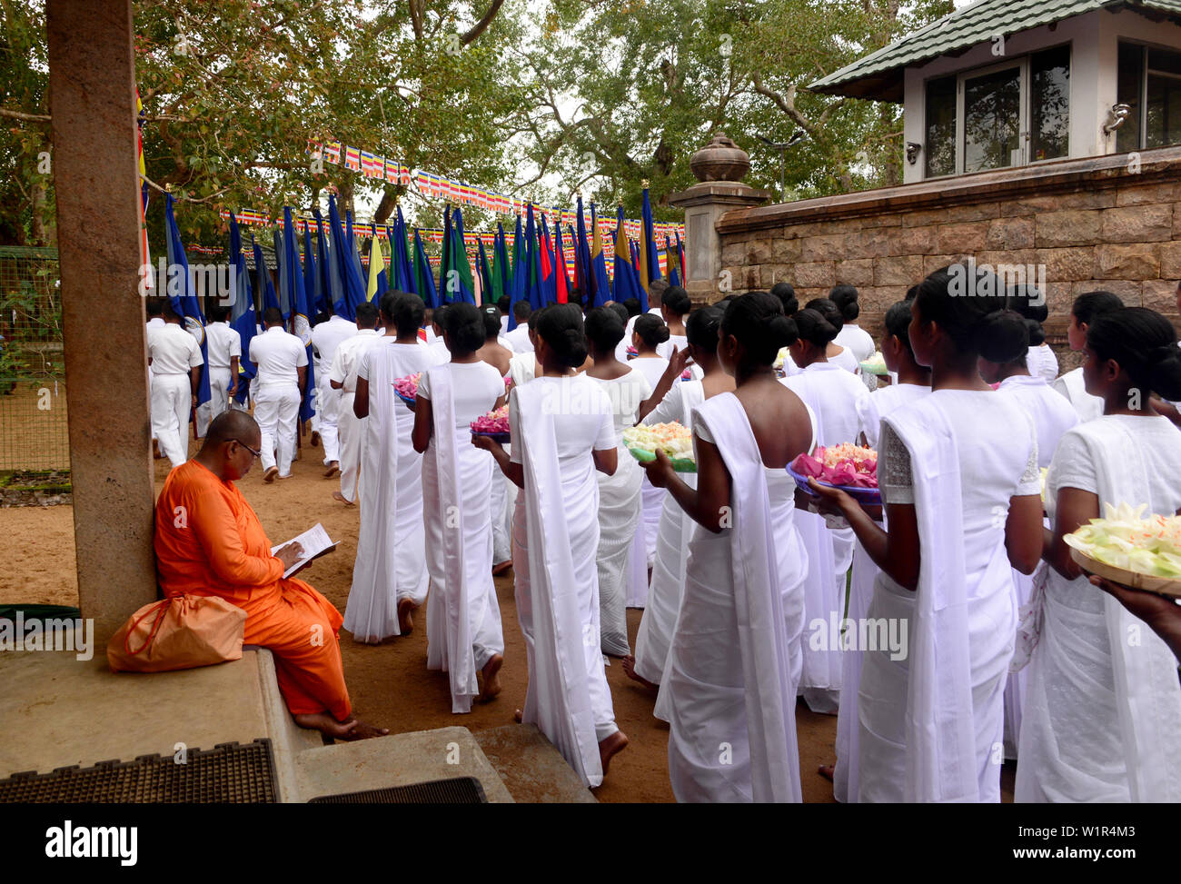 Al Sacred Bo-Tree, Anurathapura,nord dello Sri Lanka Foto Stock