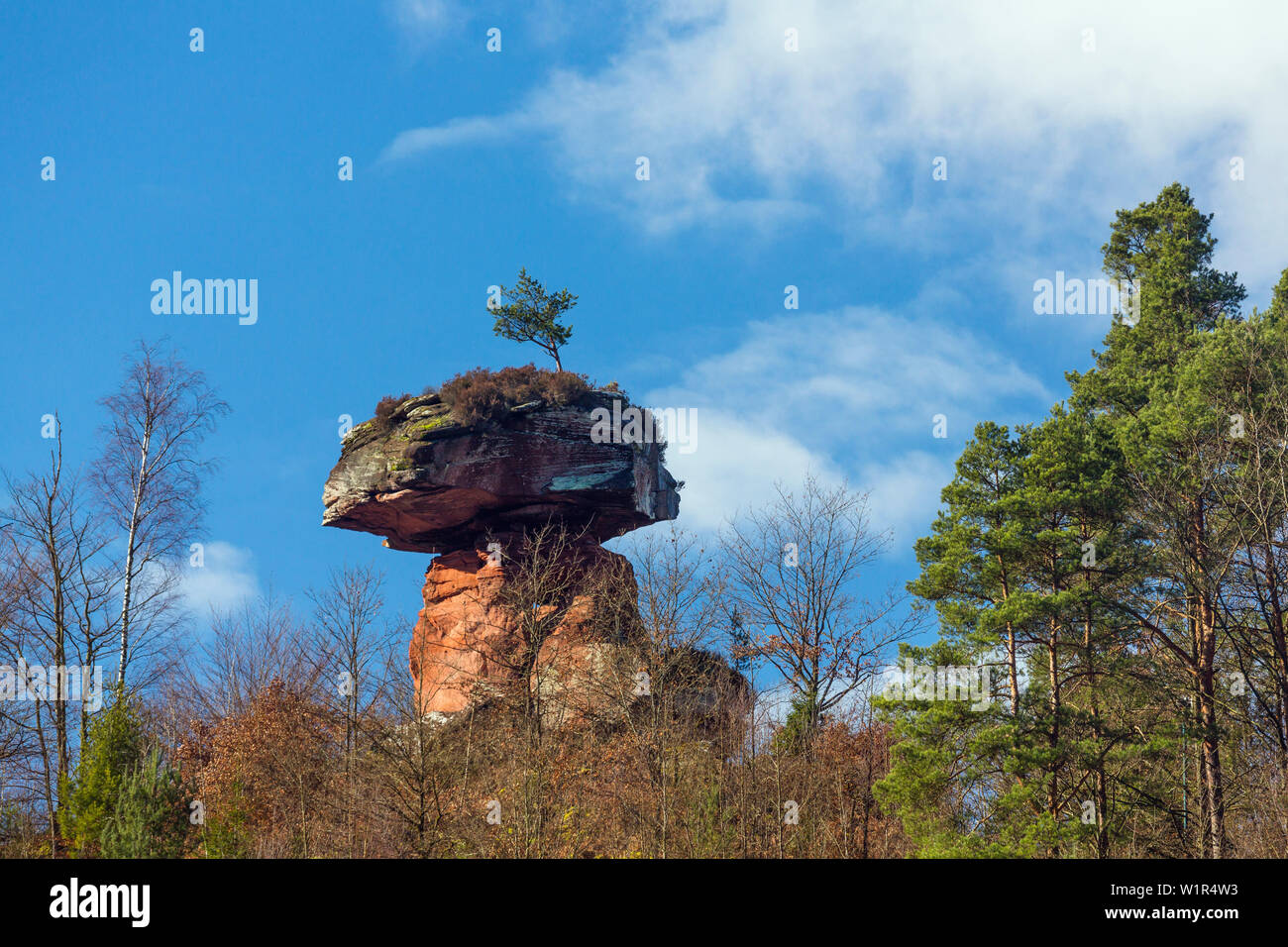 A forma di fungo rock, Devil's Tabella, Hinterweidenthal, Renania-Palatinato, Germania, Europa Foto Stock