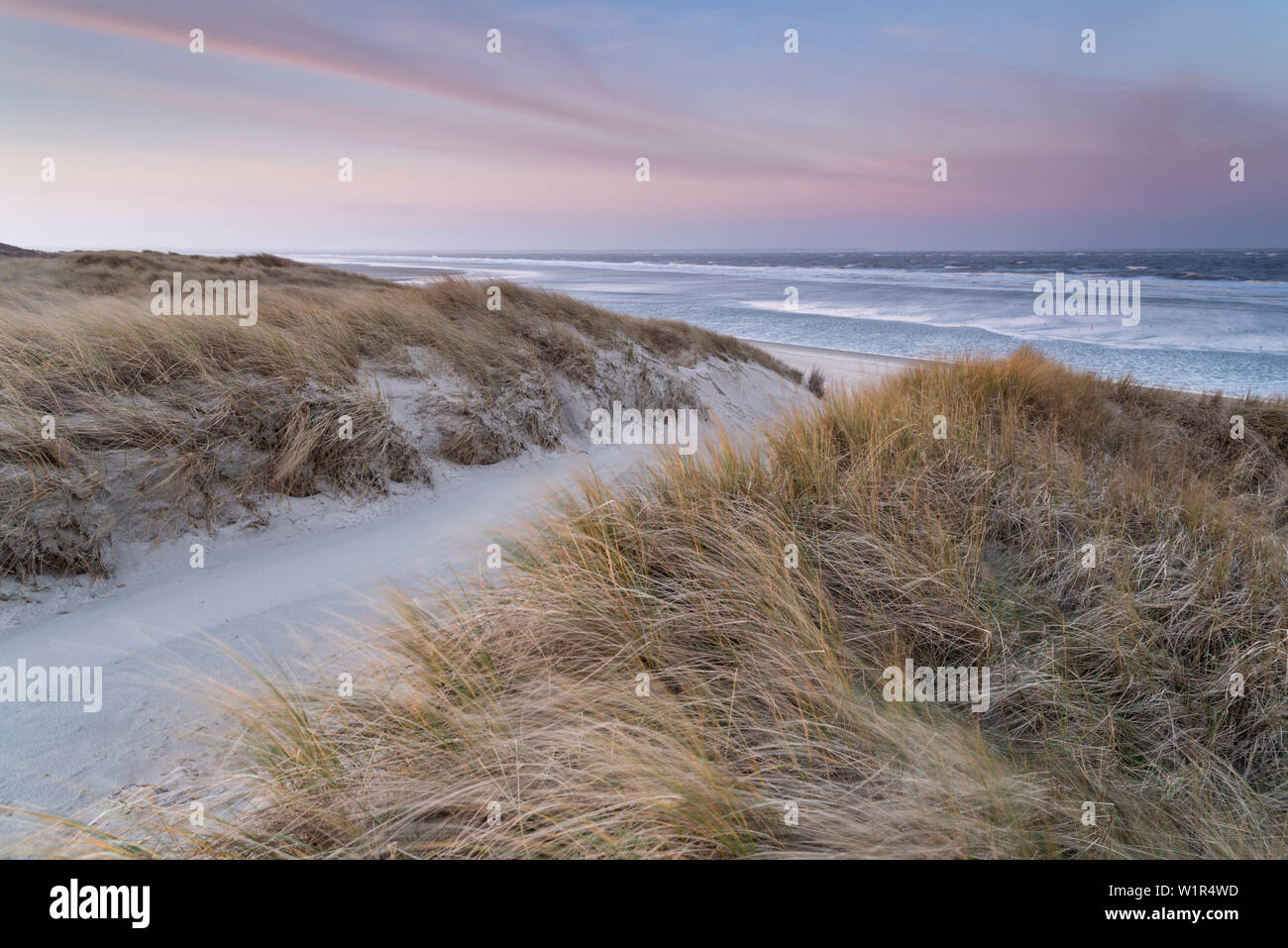 Dune, Dawn, Langeoog, Mare del Nord est delle Isole Frisone, Frisia orientale, Bassa Sassonia, Germania, Europa Foto Stock