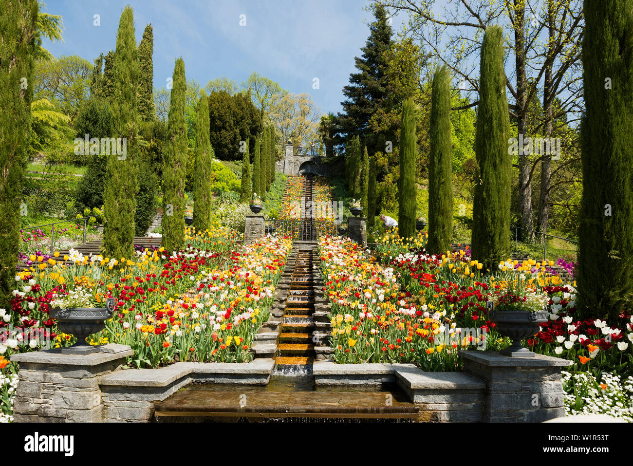 Le scale e le aiuole con i tulipani in primavera, Isola di Mainau, Lago di Costanza, Baden-Württemberg, Germania Foto Stock