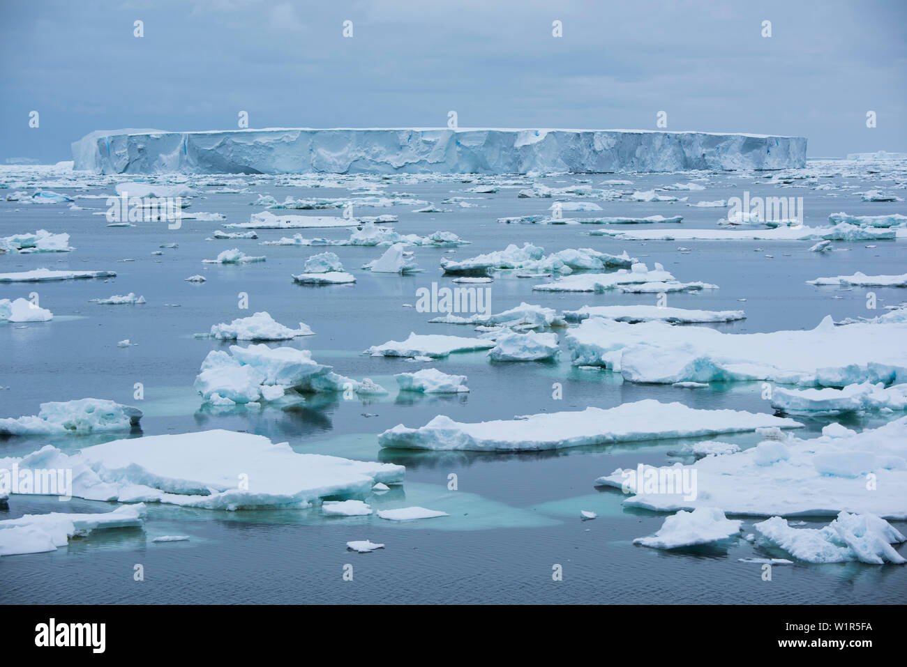Un grande iceberg tabulare è circondato da pezzi più piccoli del mare di ghiaccio, nei pressi di Laurie isola, a sud delle Isole Orkney, Antartide Foto Stock