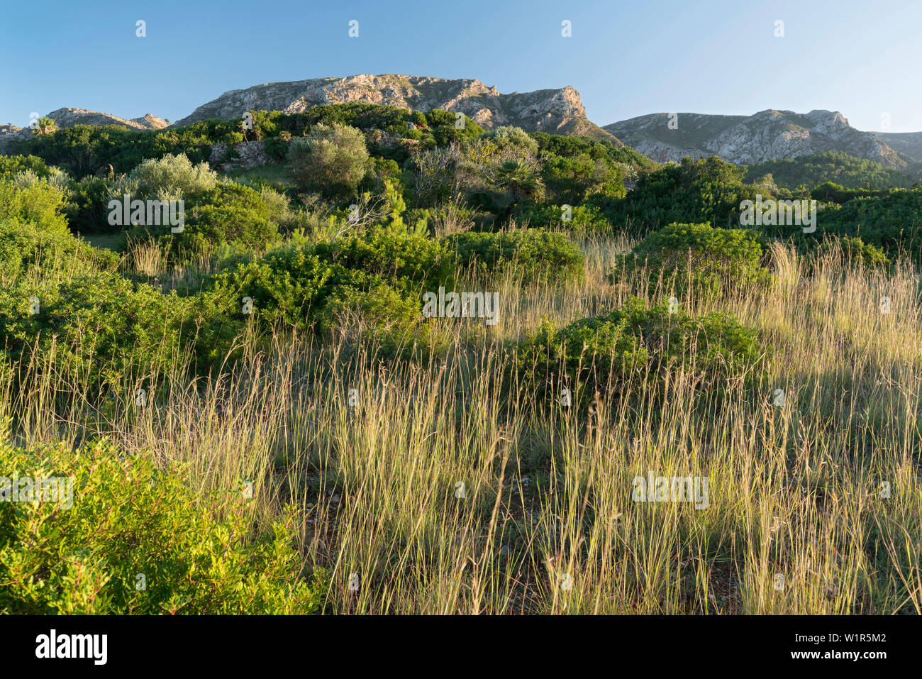 Montagne di Betlem, Badia d'Alcudia Maiorca, isole Baleari, Spagna Foto Stock
