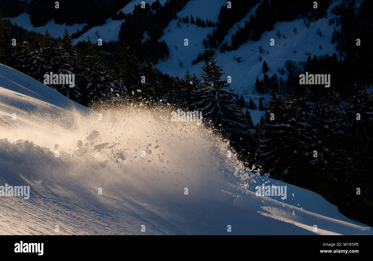 Girare in polvere di uno sciatore enlightet dalla calda luce della sera, Langer Grund, Tirolo, Austria Foto Stock