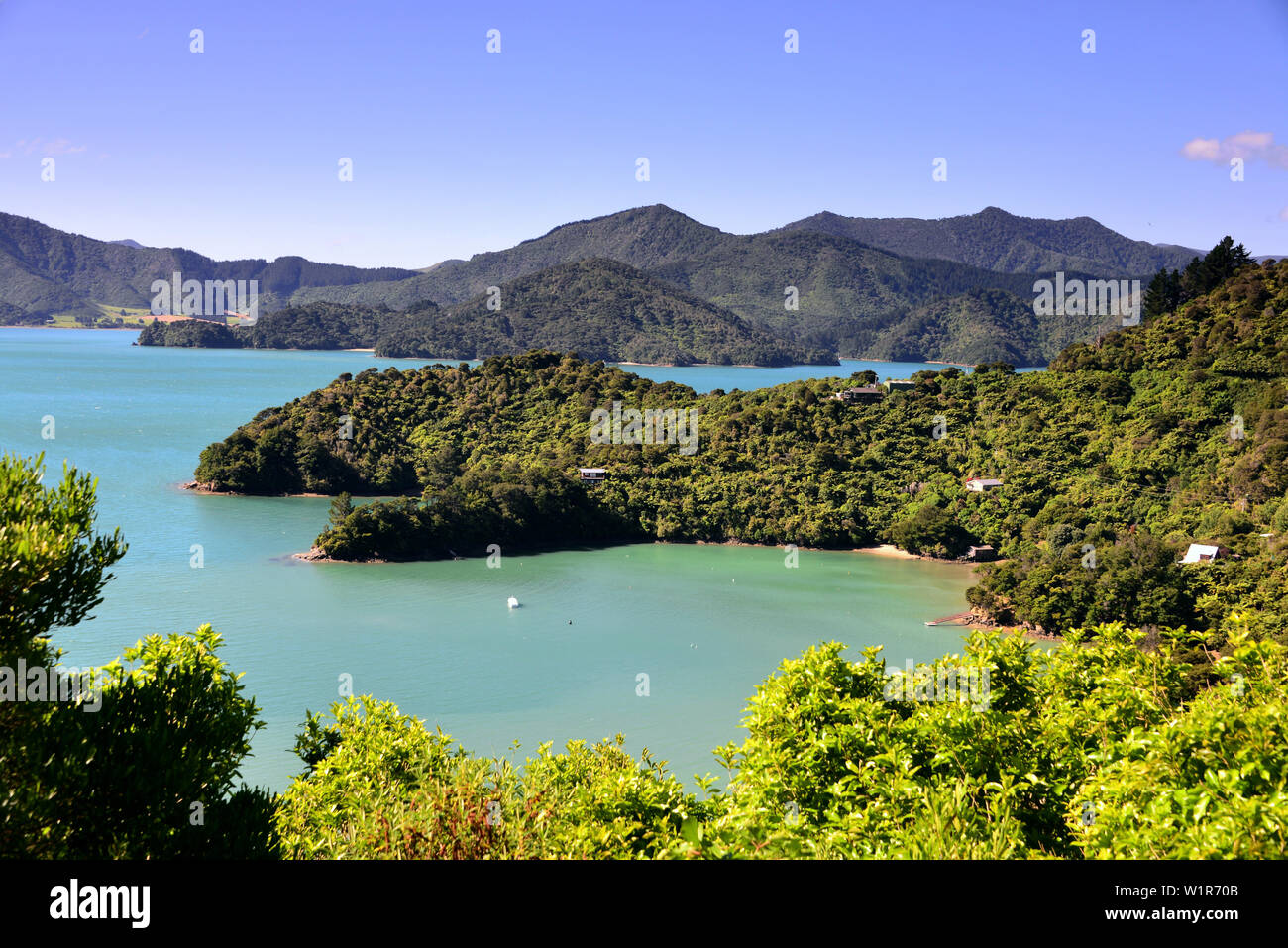 Vicino a Te, Mahia Kenepuru Sound, Marlborough Sounds, Isola del Sud, Nuova Zelanda Foto Stock