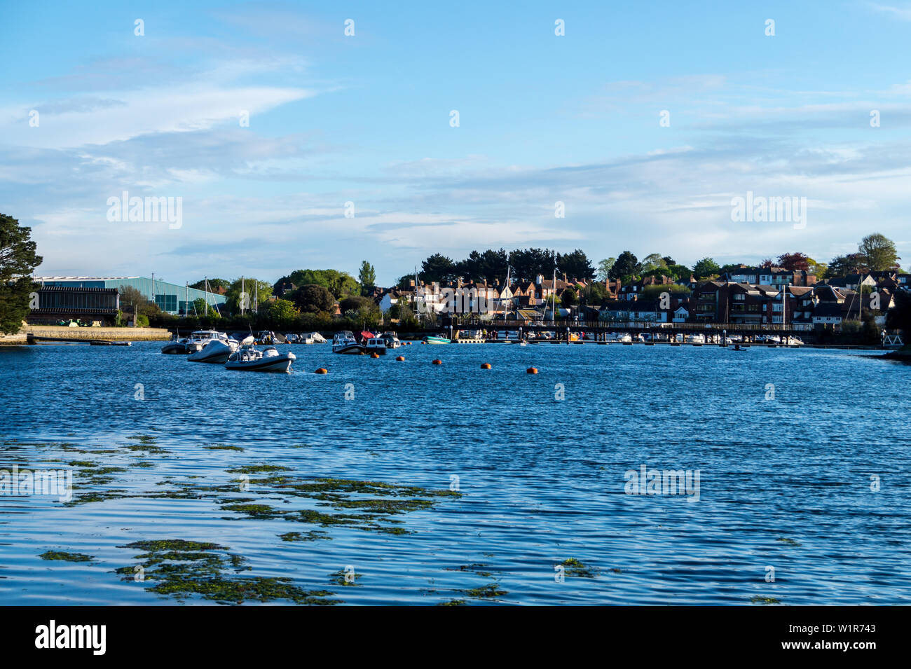 Lymington fiume siti di particolare interesse scientifico (SSSI), Lymington, Hampshire, Inghilterra Foto Stock