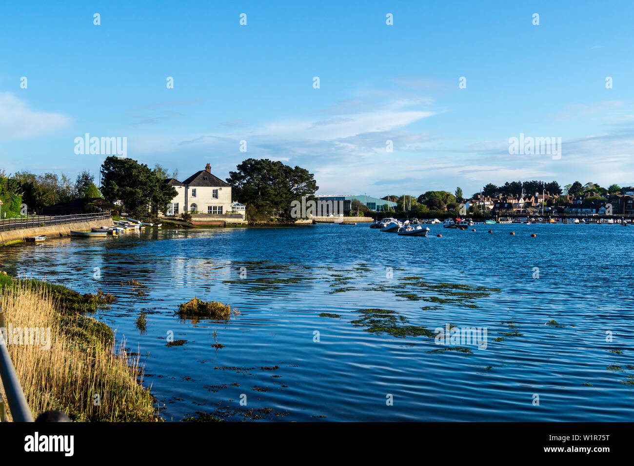 Lymington fiume siti di particolare interesse scientifico (SSSI), Lymington, Hampshire, Inghilterra Foto Stock