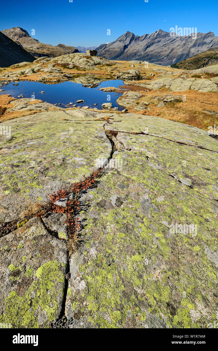 Lastra di roccia con un piccolo lago, Grosser Moosstock e Durreck in background, valle di Reinbachtal, Vedrette di Ries, Alto Adige, Italia Foto Stock