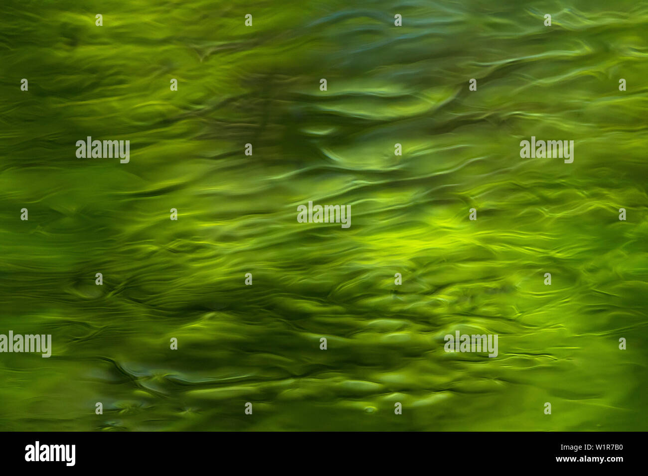 Dinamiche di acqua e riflessioni nei fiumi della Spreewald Foto Stock