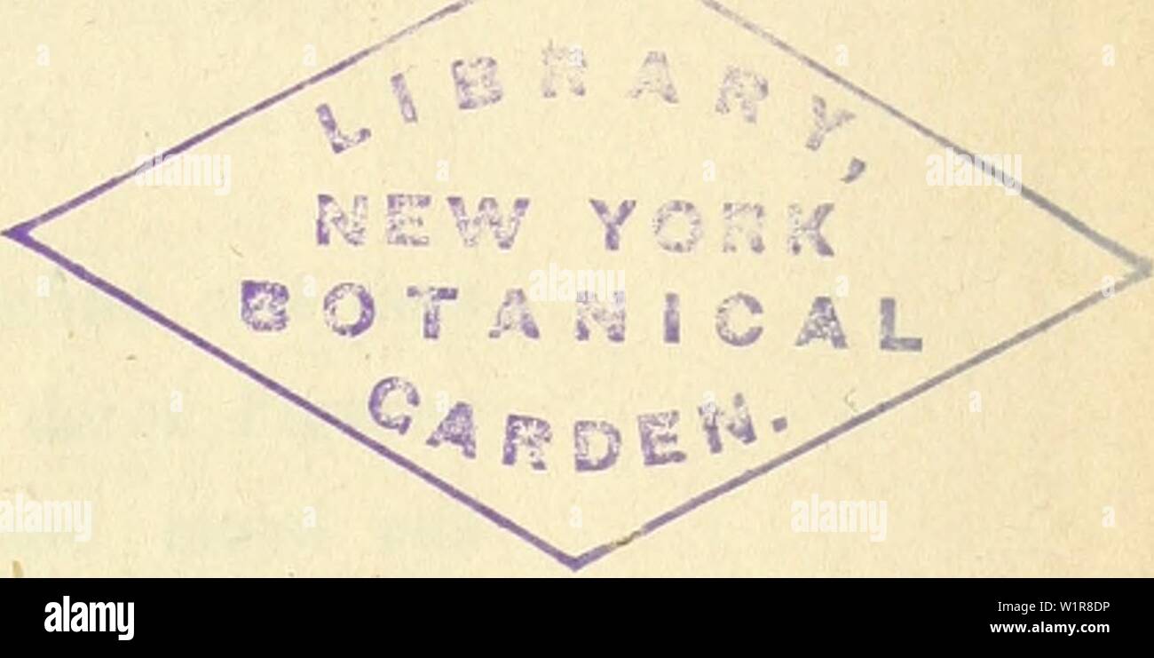 Archivio immagine dalla pagina 8 del sistema Das der Pilze Durch. Sistema Das der Pilze. Durch Beschreibungen und Abbildungen erlutert dassystemderpilz00nees Anno: 1837-1858 sistema DAS DER PILZE bearbeitet D' Th. Bail. Zweite ytbtheilongr des in demselben Verlage 1837 erschienenen gleickaamigen Werkes von Dr. Th. Friedr. Ludw, Nees v. Esenbeck und un, Henry. Nebst 26 Tafeln mit 160 zum grössten Theil colorirten Gattungsbildern. forma, 1858. Yerlag lithographischen des instituts der Rheinischen Friedrich- 'Wilhelms-UniTersität und der Leopoldinisch-Carolinischen Akademie der Naturforscher Ton Henry & C Foto Stock