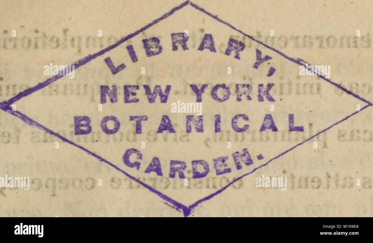 Immagine di archivio da pagina 8 del De plantis Labradoricis libri tres. De plantis Labradoricis. Libri Tres deplantis00meye Anno: 1830 - PRAEFATIO. Herzberg, fratrum Moravicorum missio- narius in terra Labrador, aliquota abhinc annos haud exiguain plantarum exsiccatarum copiam annuncio misit me5 partim prope Okak, partim prope Nain lectas. Quibus rito dispectis, cognovi qui- dem? Periodi più plurimas earum in botanicorum co- plinti jam esse relatas; sed quum aliae) quuin in hac terra tum in omni plaga arctica antea nondum repertae essent aliae) uberiore descri- ptione aliae) aliis emendationibus indigere vi- derentu Foto Stock