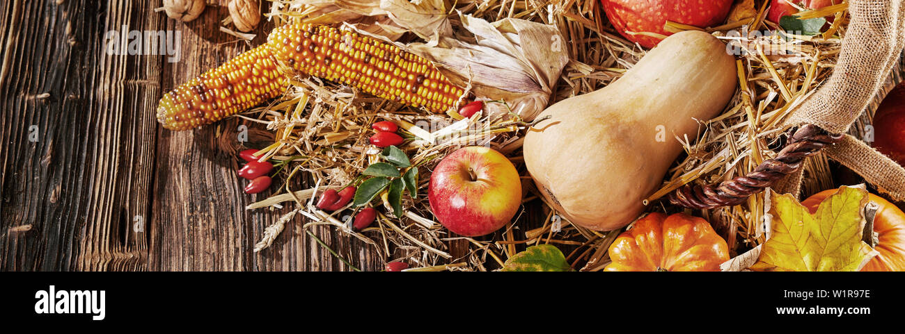 Banner di panorama di autunno di frutta e verdura con tutoli di mais essiccato, butternut, zucca, noci e foglie colorate su un letto di paglia fuoriuscita da un wic Foto Stock