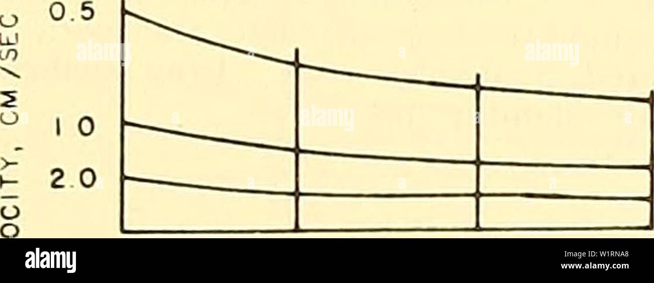 Immagine di archivio da pagina 72 di circolazione profonda, Centrale del Pacifico del nord. Circolazione profonda, centrale Oceano Pacifico settentrionale: 1961, 1962, 1963 deepcirculationc00barb Anno: 1965 160° 170° 160° Figura 25. -La topografia nella dinamica di metri, 1.000 m livello regolato per centrali eoliche trasporto geostrophic, Ekman divergenza con- sidered, settembre 1961. Coefficiente di resistenza 0.0026; sottolinea dalla media mensile di pressioni. 20° 30° 40° 50° scala di velocità per .01 metro intervallo 61 Foto Stock