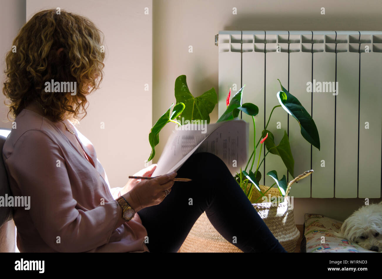 La donna lo studio a casa, disteso sul divano di casa a fianco della finestra Foto Stock