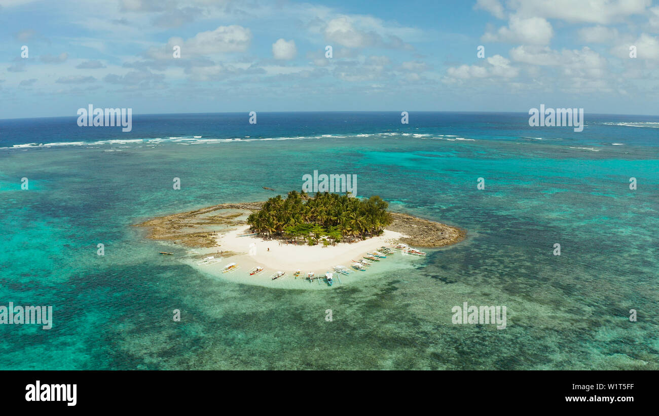 Paesaggio tropicale: Guyam isola con splendida spiaggia, palme da acque turchesi vista da sopra. Siargao, Filippine. Estate viaggi e concetto di vacanza Foto Stock
