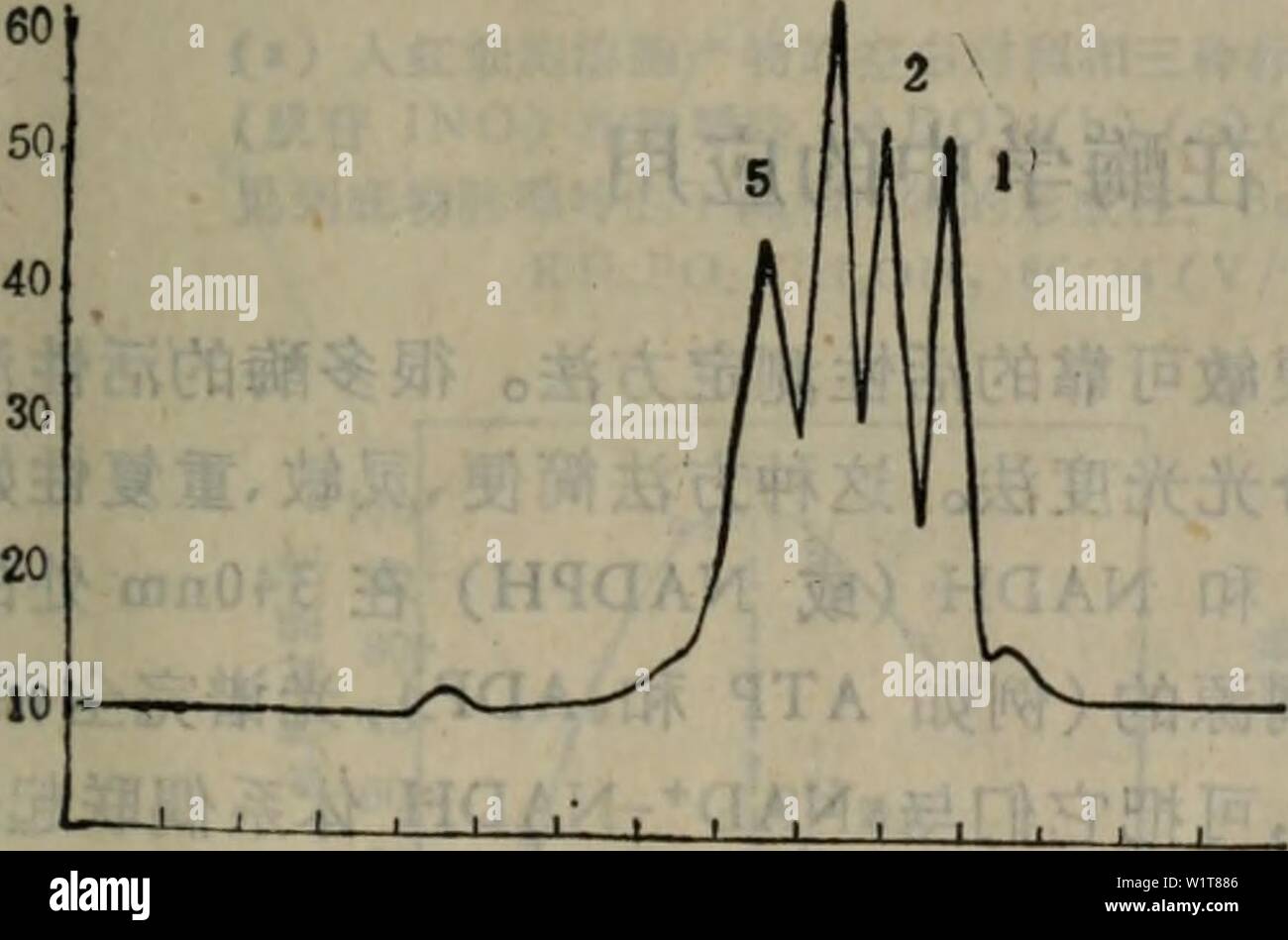 Immagine di archivio da pagina 98 di dan bai zhi ha mei. dan bai zhi ha mei xue yan jiu fang fa danbaizhihemeixu01luzi Anno: 1989.4 logMW 5.00- 4.60 '0 2000SW li 14 è 16 17mia togMW 5,60 5,20 4,80 4,40- 4000SW 16 18 20 22mux å¾å£ HPLCåè¶è¿iStae³aeµå®èç½è'¨åå-un ä"ªå¨ï¼Beckman 344 421ç¨åºae§å¶å" 112åå 160åae£åºå¨280nmï¼ 0.5AUFS ae±ï¼Beckman TSK-2000SWåTSK-4000SV aeµå¨ç'ï¼40mmol/Lç¡®é "ç¼å²ae¶² pH6.8 150mmol/l NaCl aeµéï¼0.5ml/min çº'éï¼0.5cm/min ae ·åï¼ 1å§¨åä¹³èç½é£½åï¼2.åµç½èç½ï¼3.çè¡ae·'ç½èç½ï¼4.aeègç¼é ¶ï¼5.éèç½ã .93 â ¢ Foto Stock