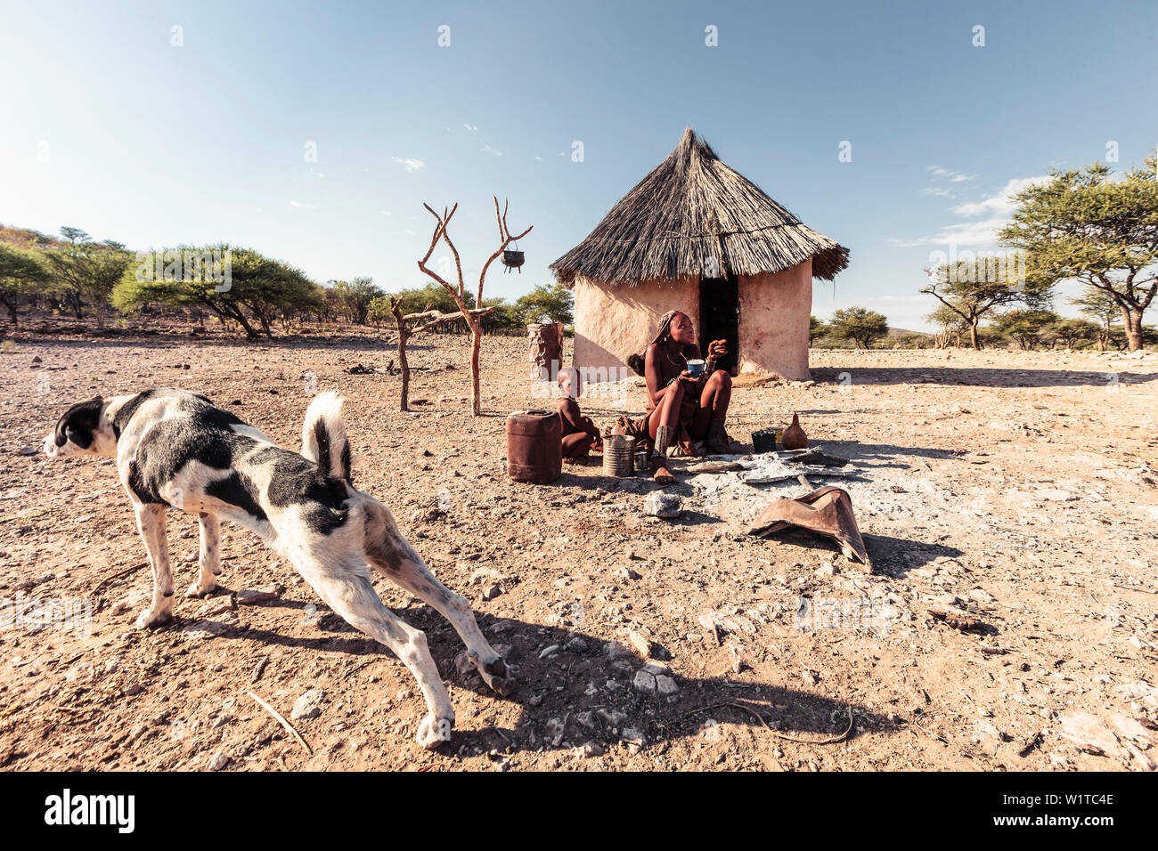 Donna Himba cottura porridge di mais nella parte anteriore del suo rifugio, per sé e per il suo bambino, Kunene, Namibia Foto Stock