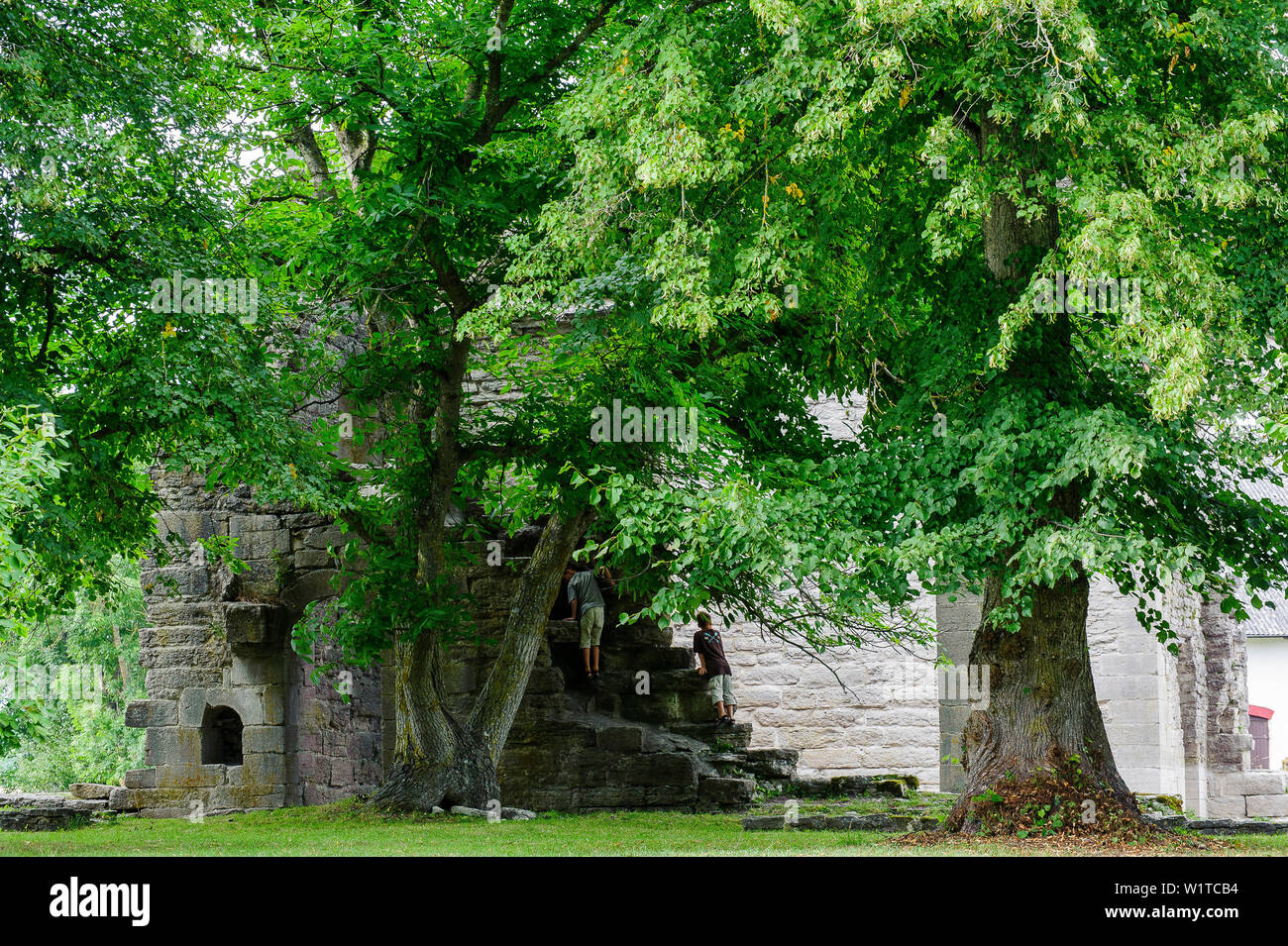 La rovina di Roma, Schweden Foto Stock