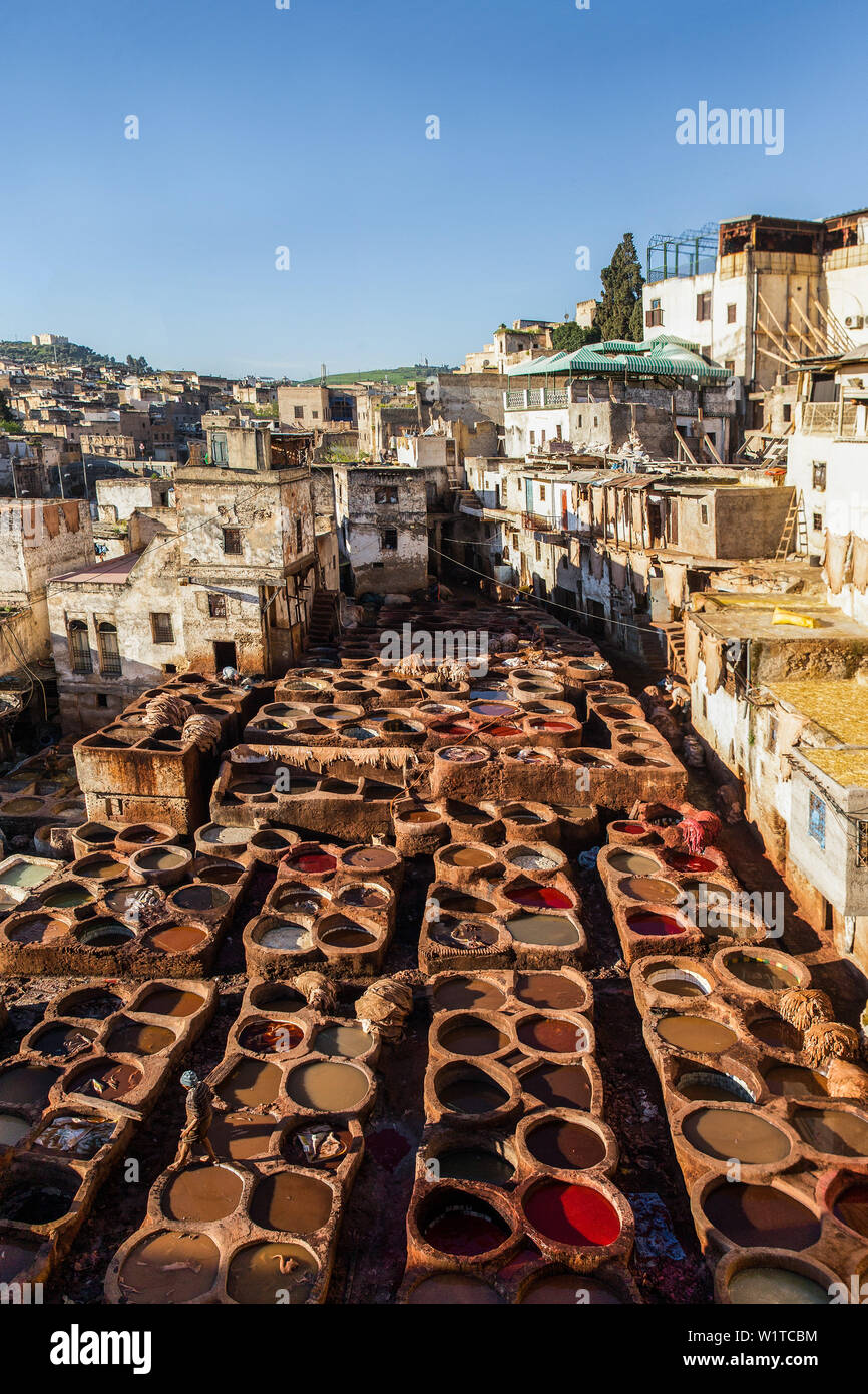 Concia delle pelli in conceria Chouara in Fes, Marocco, Africa Foto Stock