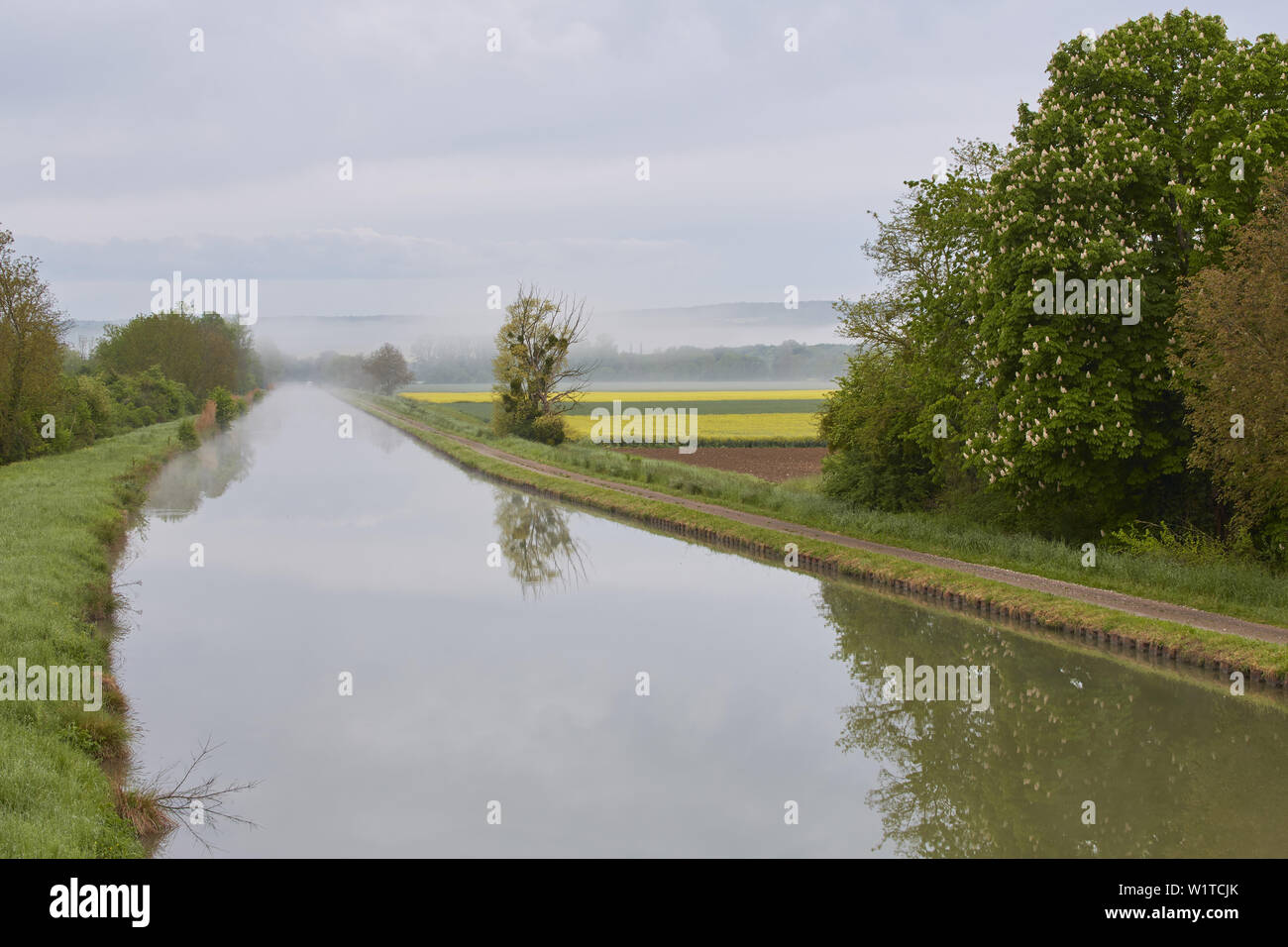 Nebbia di mattina al Canal de Bourgogne vicino a Tanlay , dipartimento Yonne , Borgogna , Francia , in Europa Foto Stock