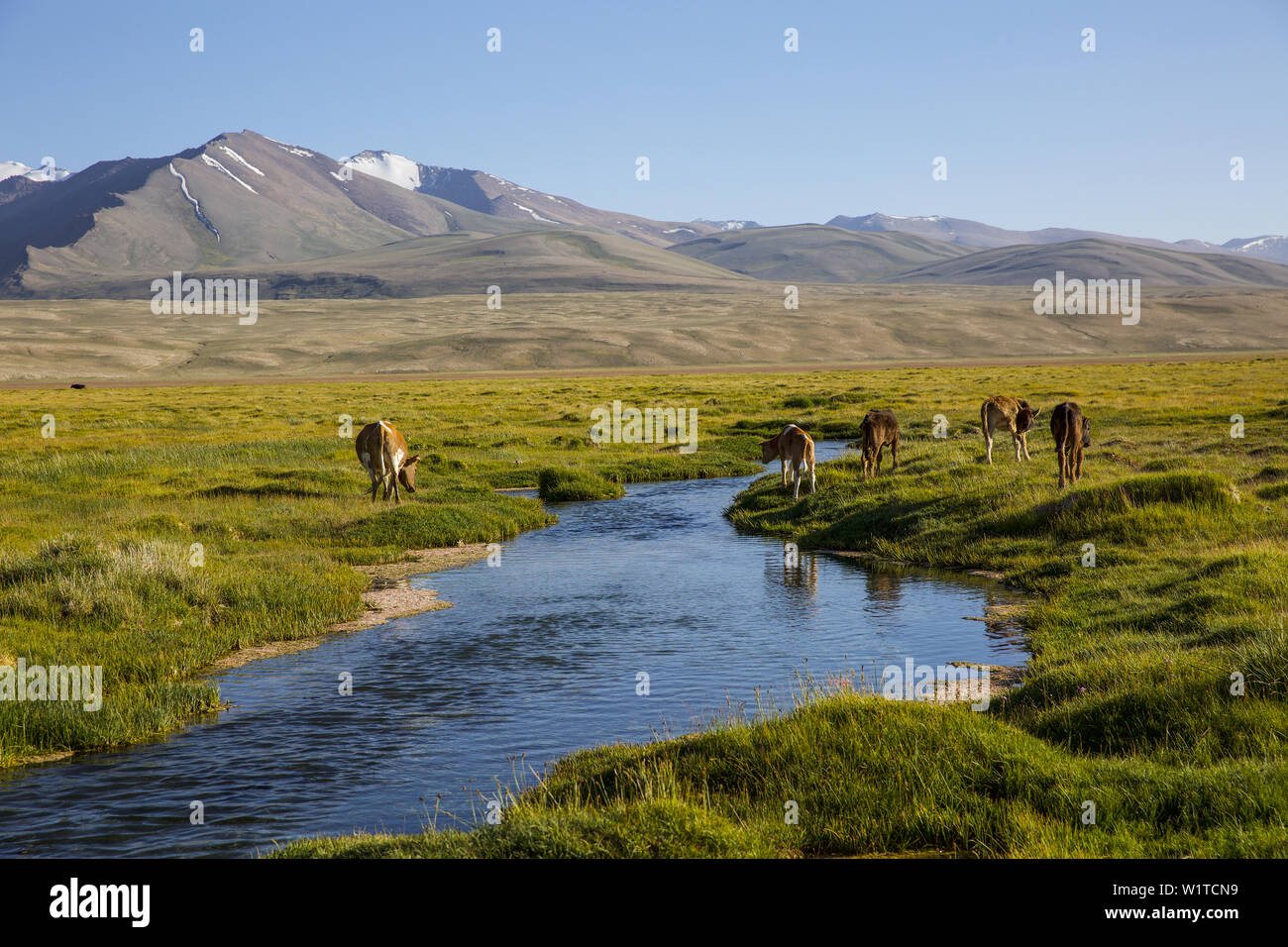 Il lago Santo Ak Balyk, in Tagikistan, in Asia Foto Stock