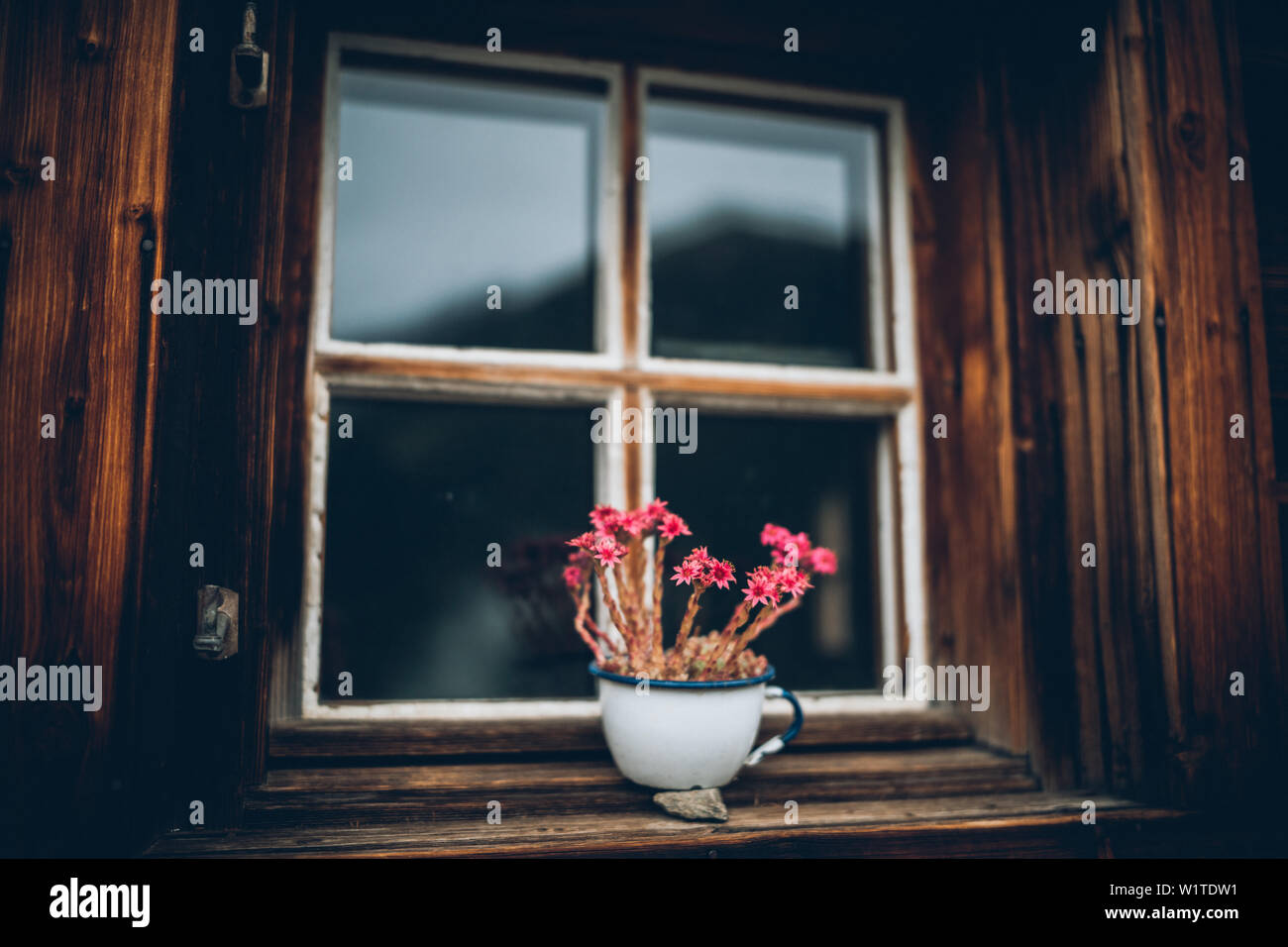 Vaso di fiori dal camping cup sul vecchio davanzale, E5, Alpenüberquerung, 6a tappa, sfiato,Niederjochbach, rifugio Similaun, Val Senales, serbatoio di Vernago, Mer Foto Stock