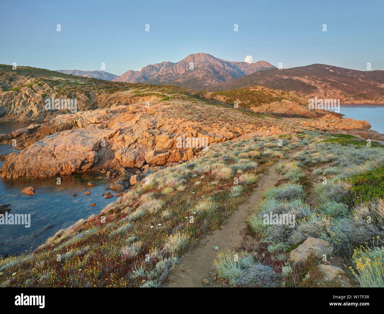 Atmosfera serale a Capu rossu, d'Arone, Corsica, Francia Foto Stock