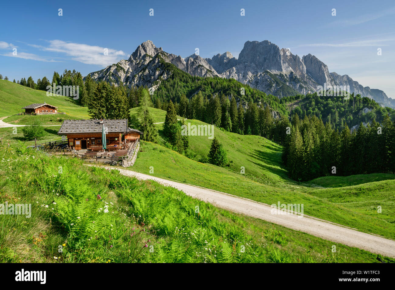 Due rifugi alpini con rock dei vertici di Reiteralm in background e sulle Alpi di Berchtesgaden, Salisburgo, Austria Foto Stock