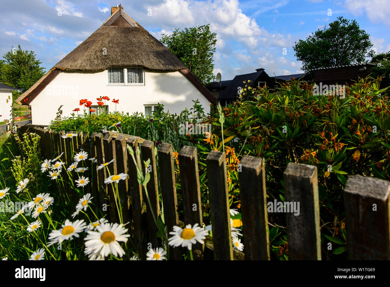 Casa con giardino fiorito in Hagen, Rügen, Ostseeküste, Meclemburgo-Pomerania, Germania Foto Stock