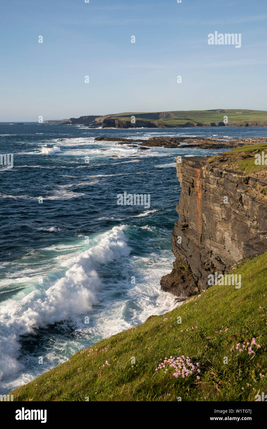 Il Cliff Walk in Kilkee si estende dalla baia a nord e a sud lungo la costa e mostra La ruvida bellezza del paesaggio dove il mare crash Foto Stock
