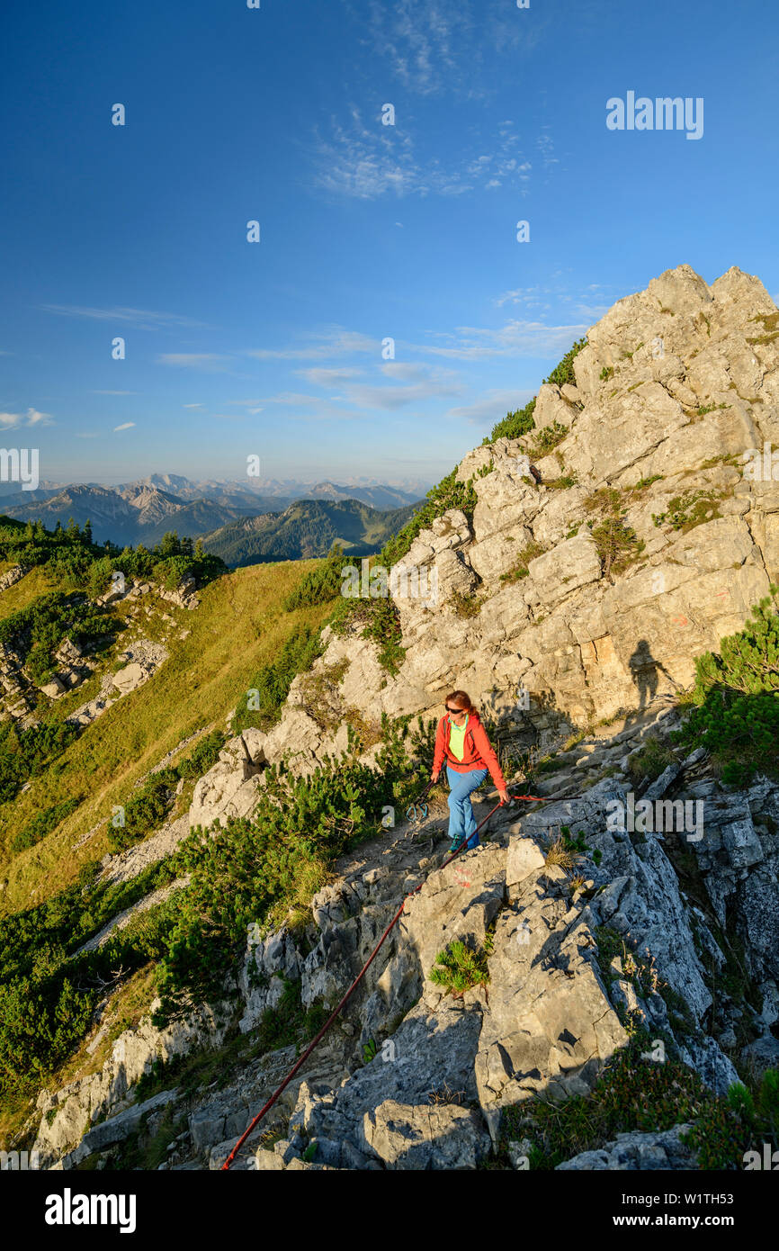 Donna mentre escursionismo sale a Aiplspitze, Aiplspitze Mangfall, montagne, Alpi Bavaresi, Alta Baviera, Baviera, Germania Foto Stock